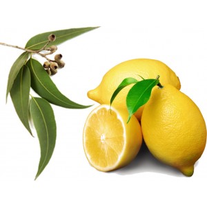 Лимонно Эвкалиптовая чистка кишечника. Отзывы прошедших очищение